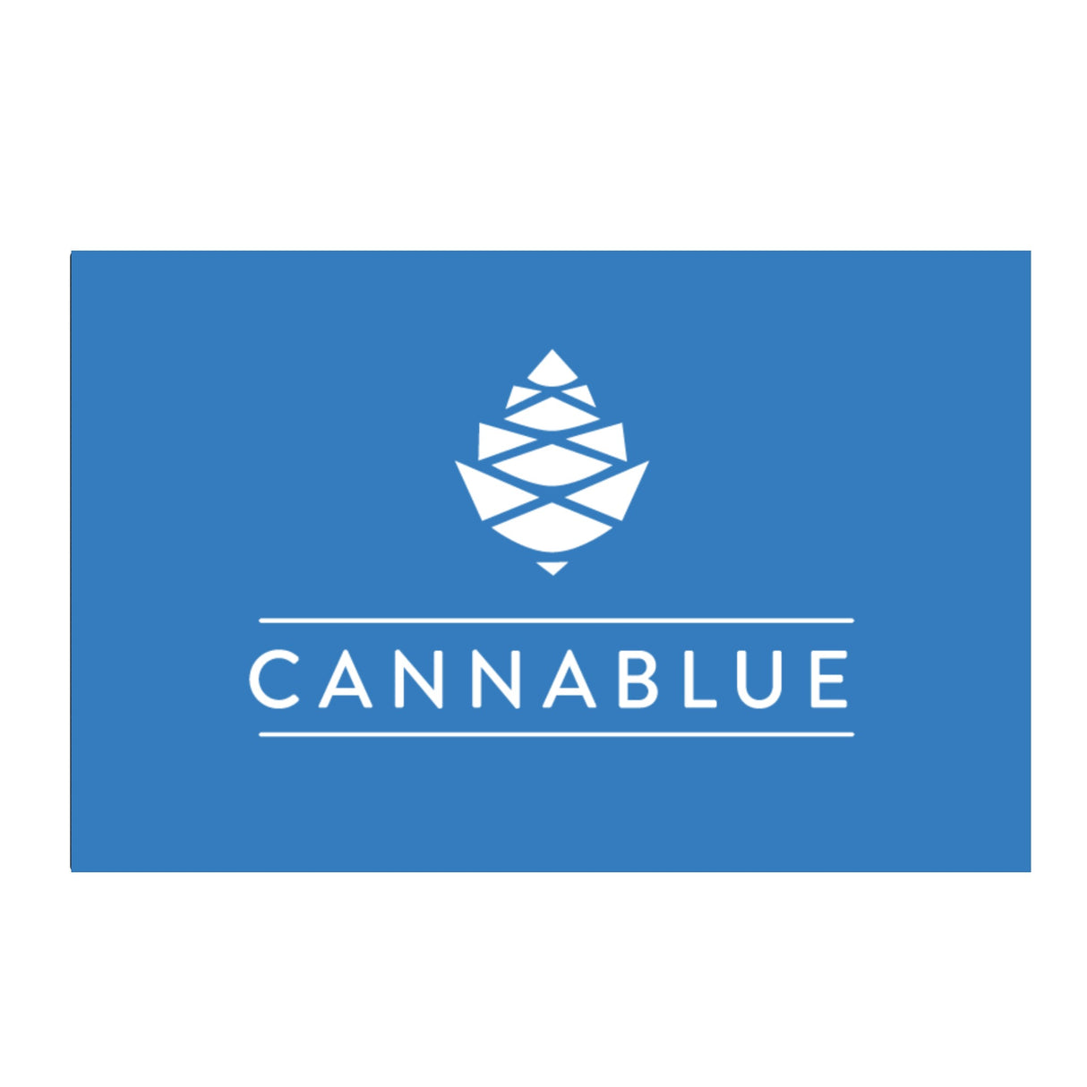 Cone Mens Court Skate Shoes With Customized Tongue