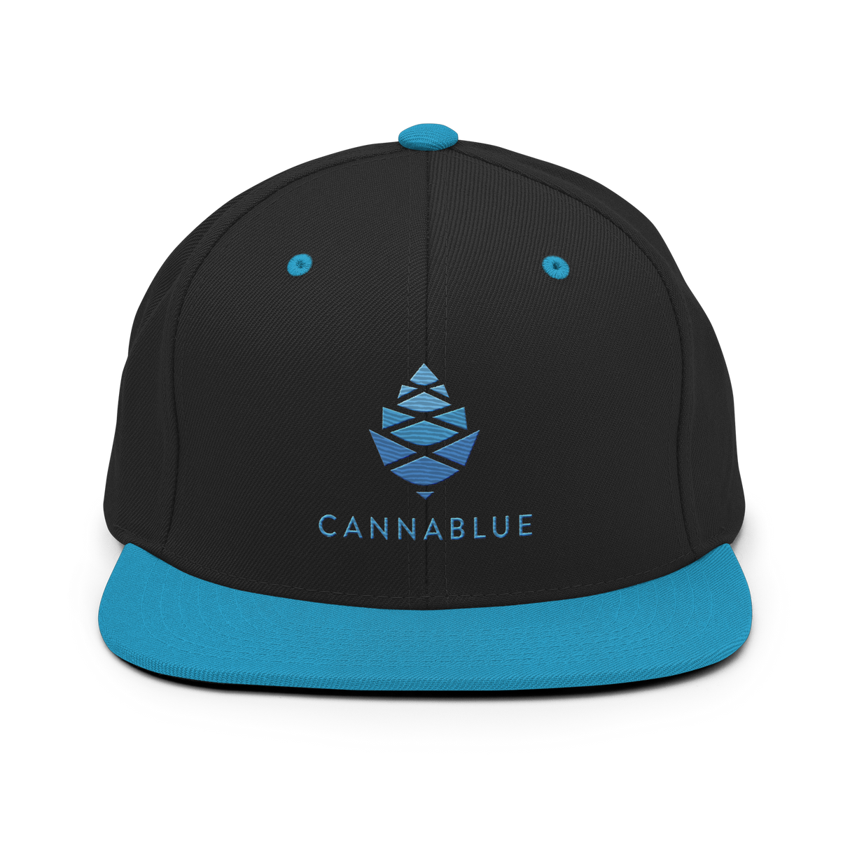 BIG CONE Snapback Hat