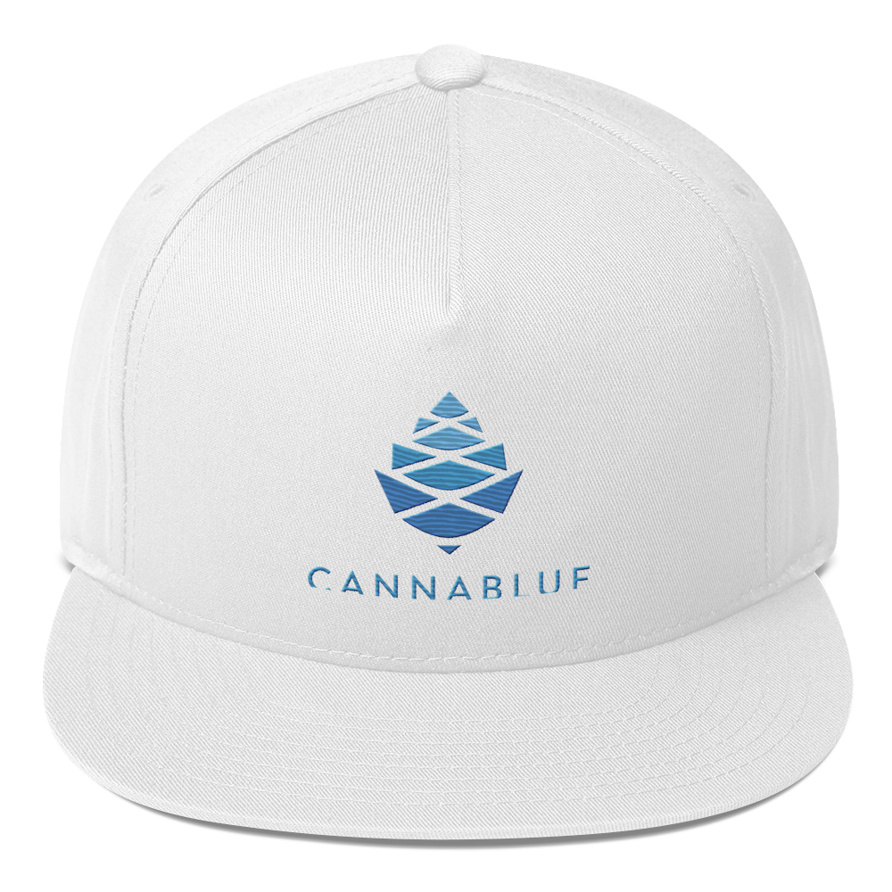 BIG CONE WHITE Flat Bill Cap