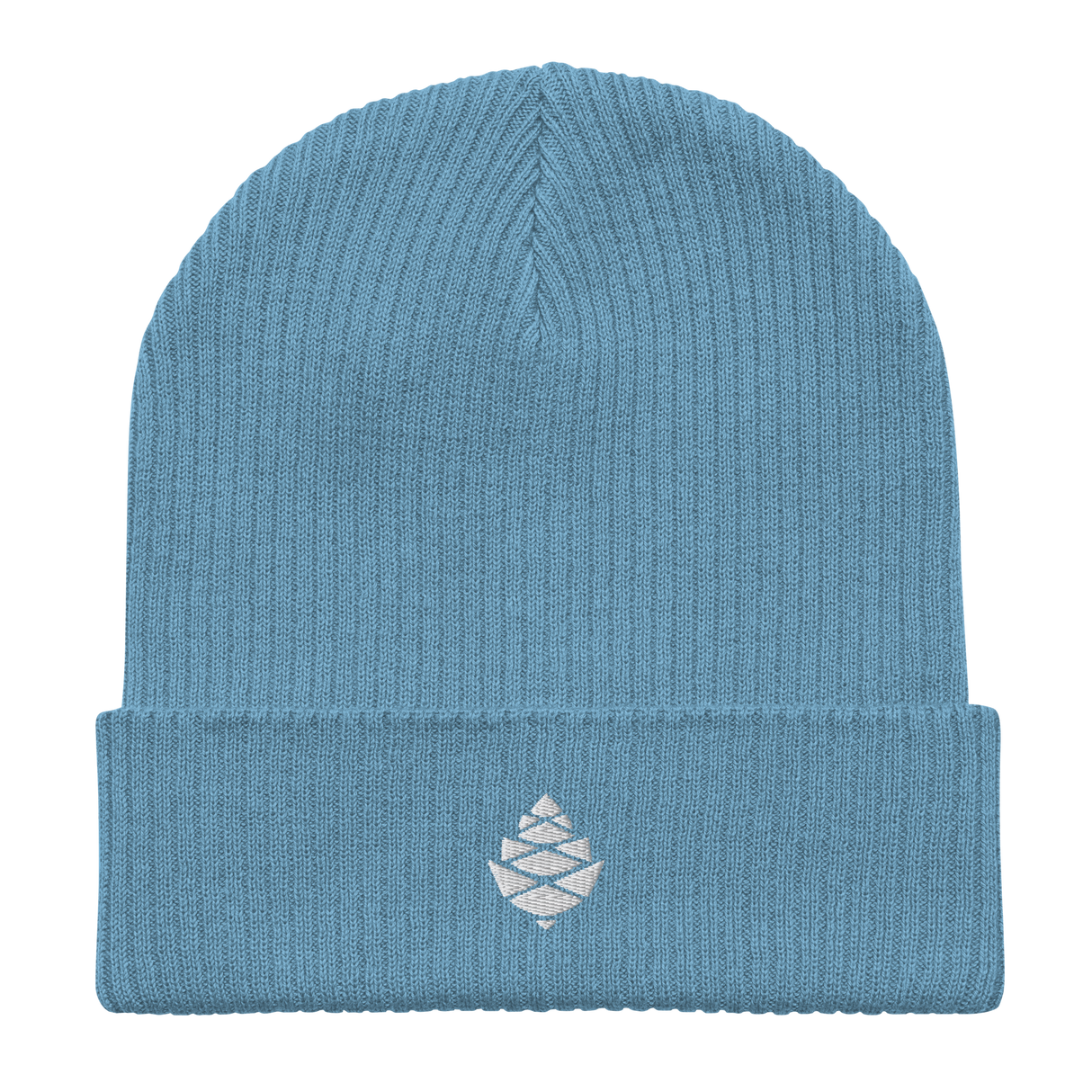 Cone Organic ribbed beanie