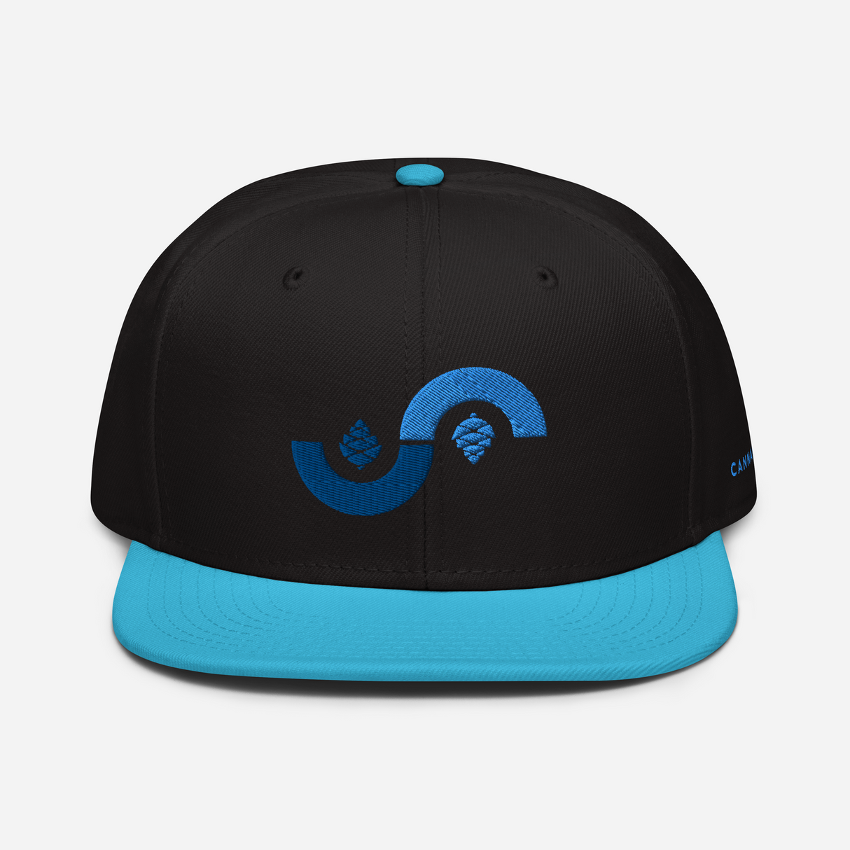Curve Cone Snapback Hat