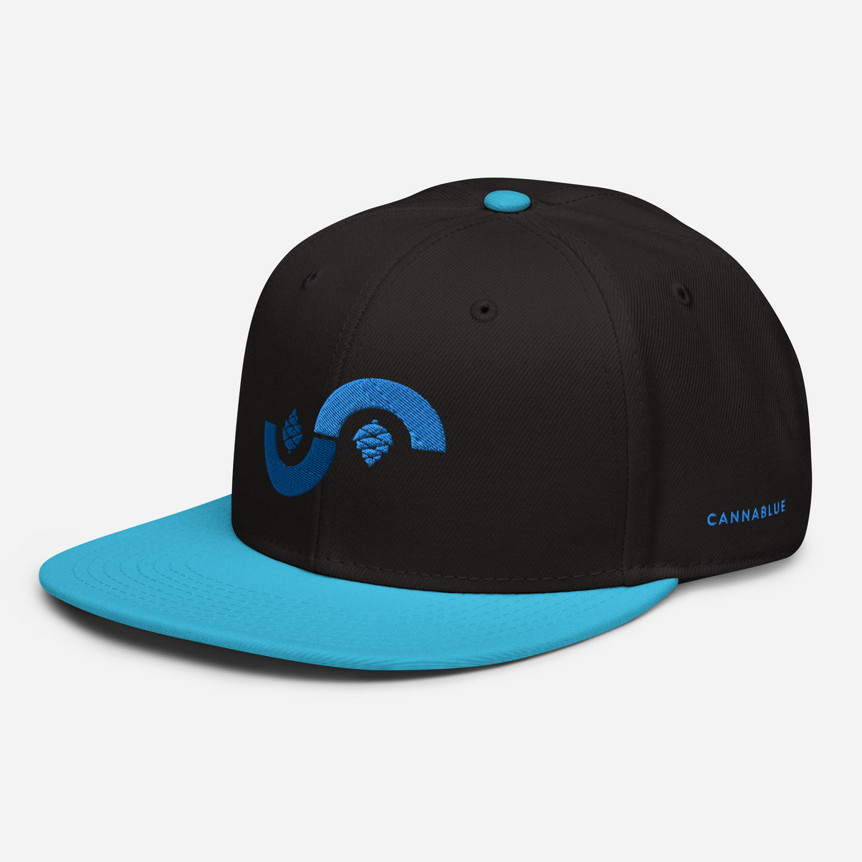 Curve Cone Snapback Hat