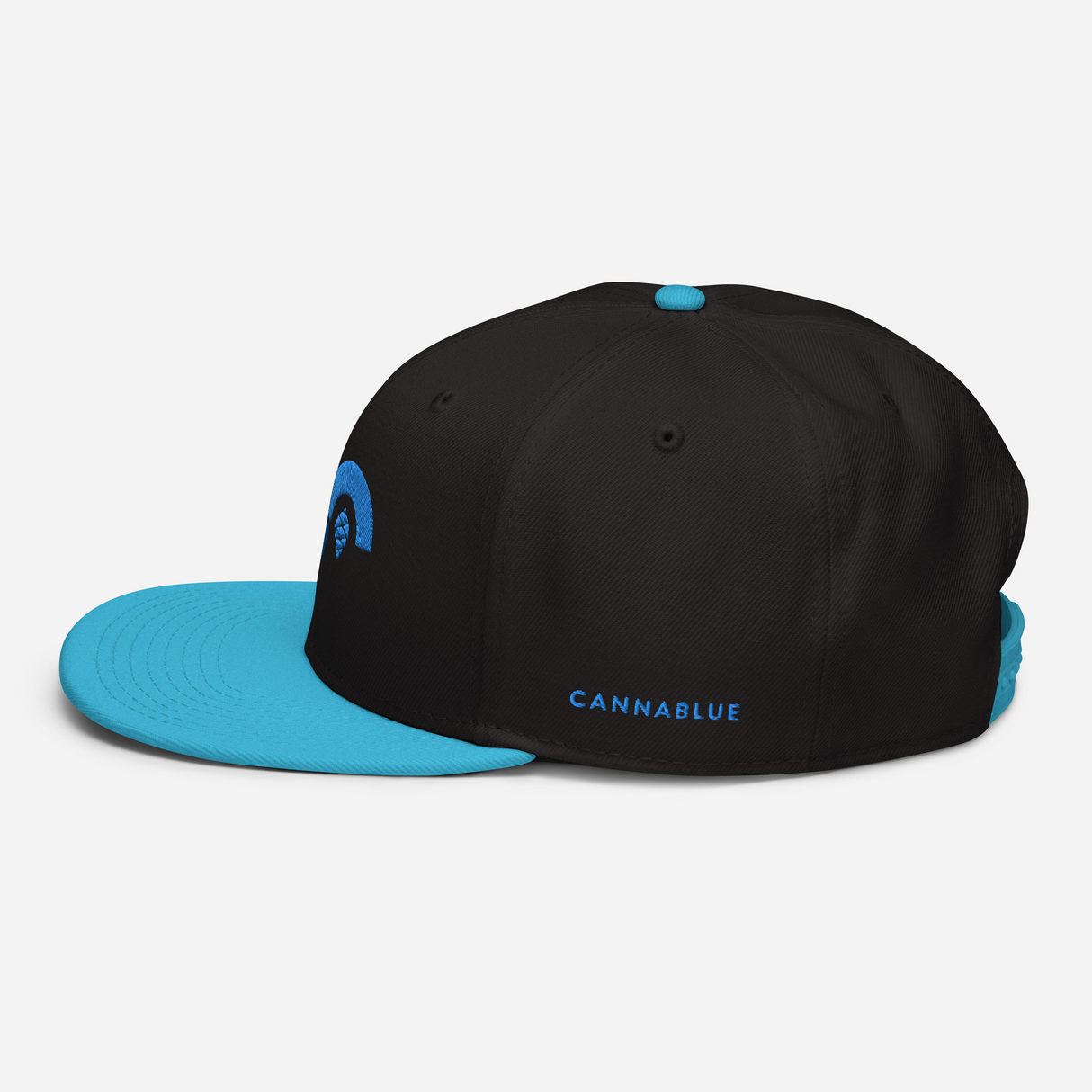 Curve Cone Snapback Hat