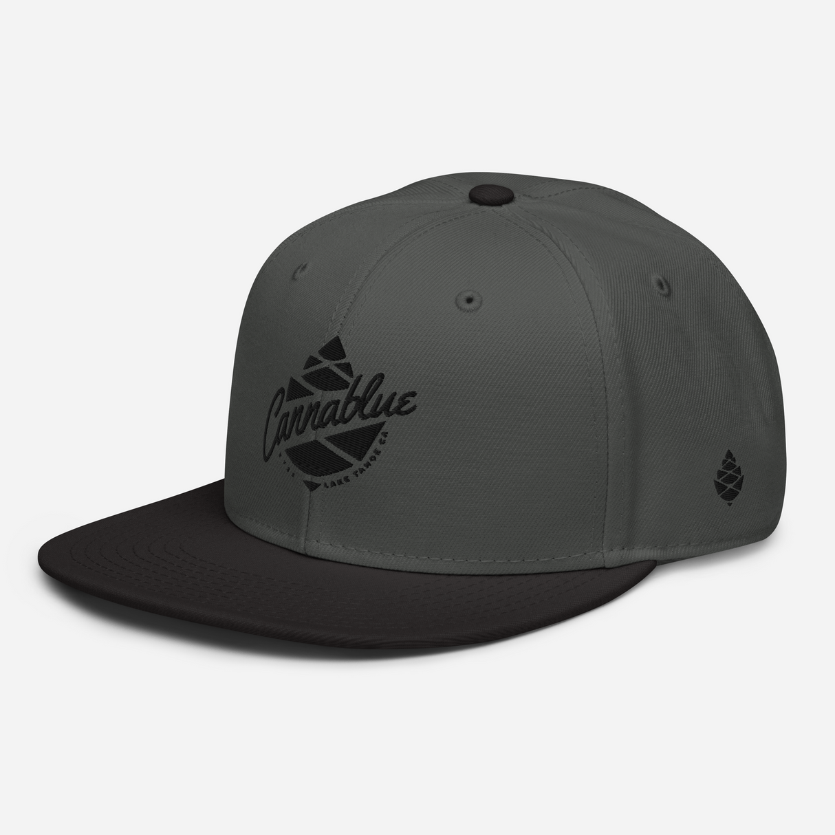 Script Cone Dark Snapback Hat
