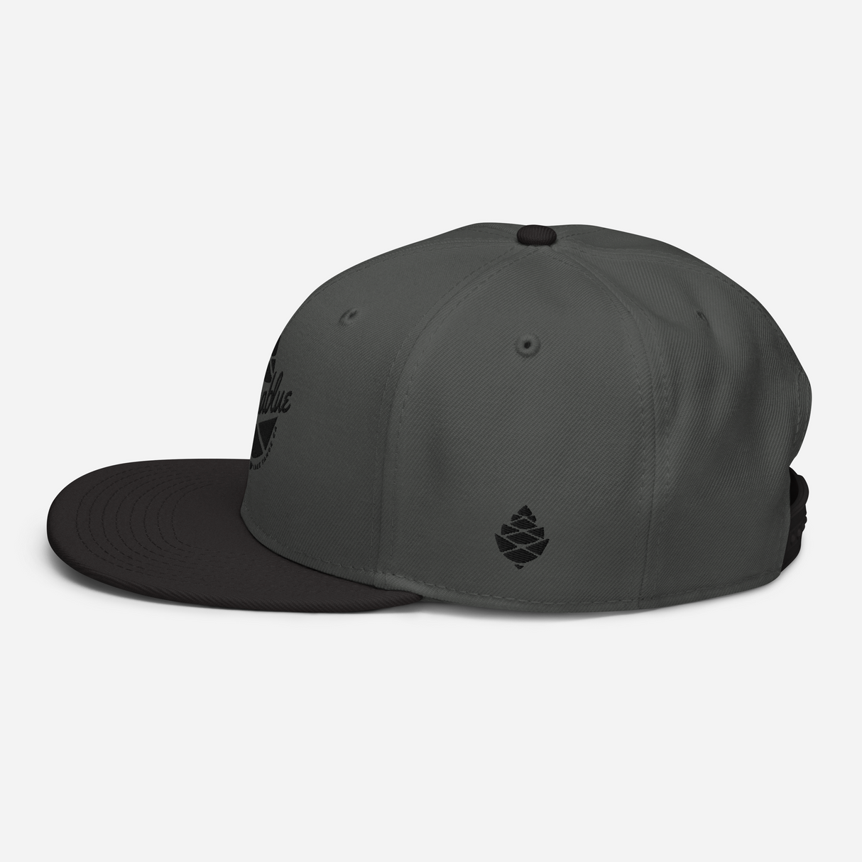 Script Cone Dark Snapback Hat