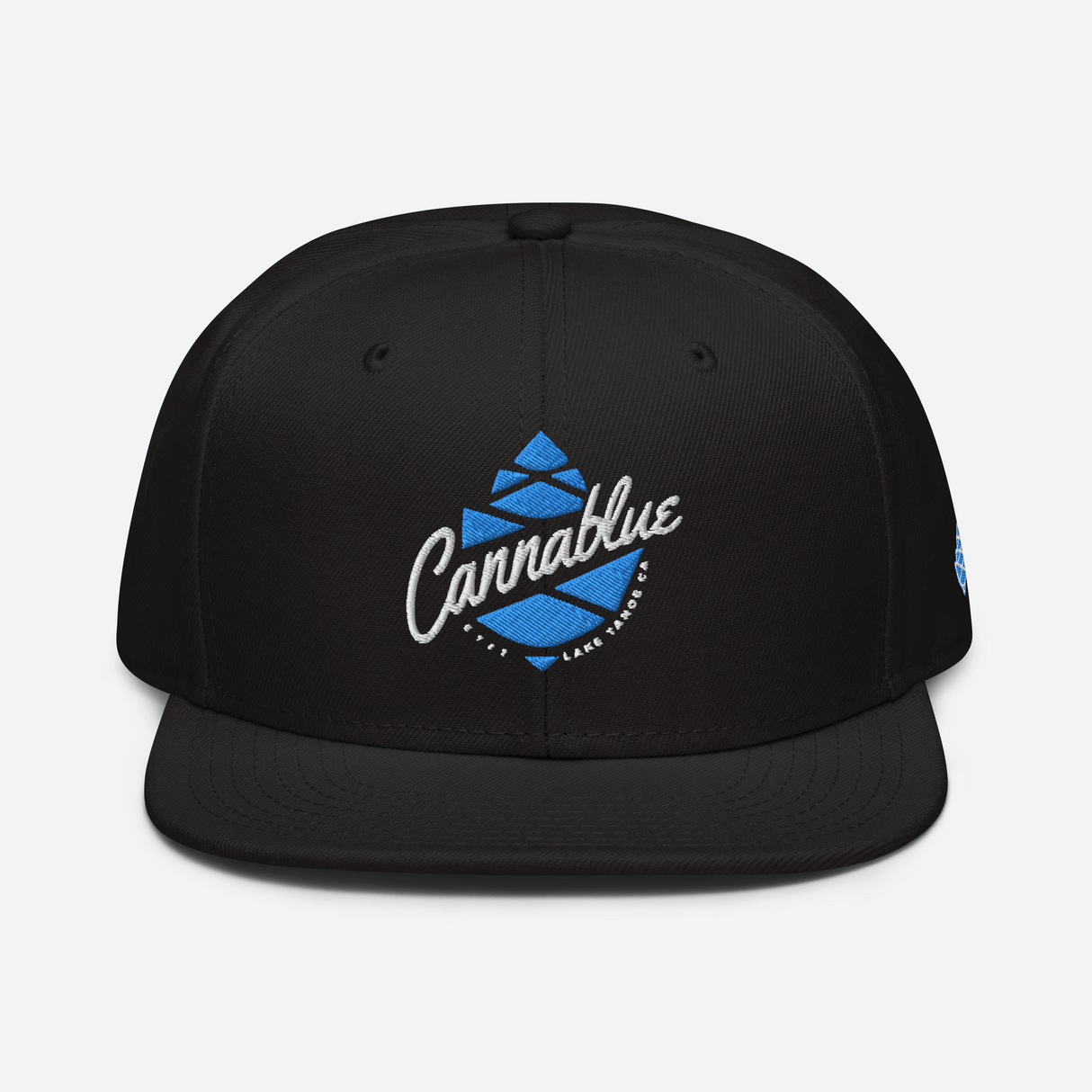 Script Cone Snapback Hat