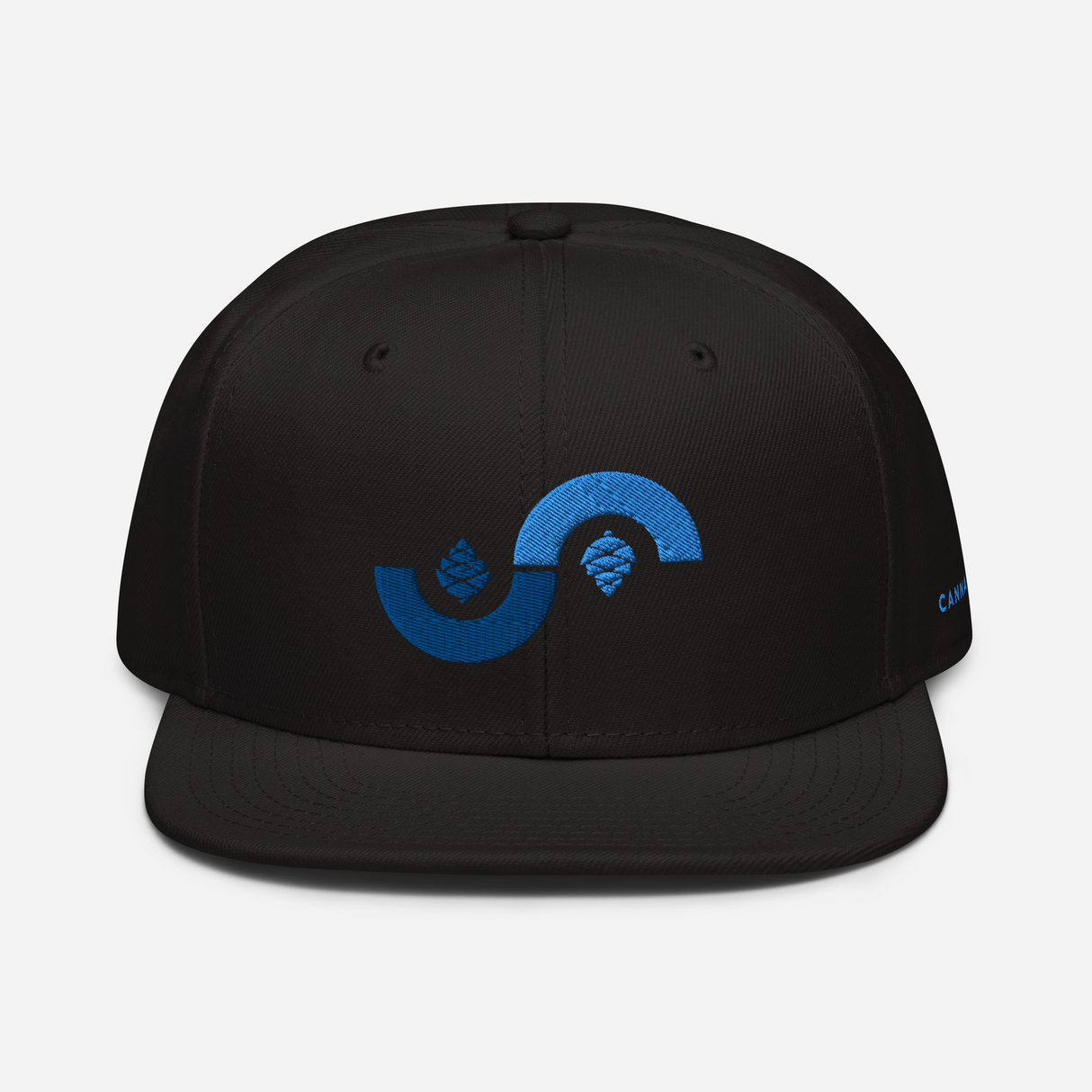 Curve Cone Snapback Hat