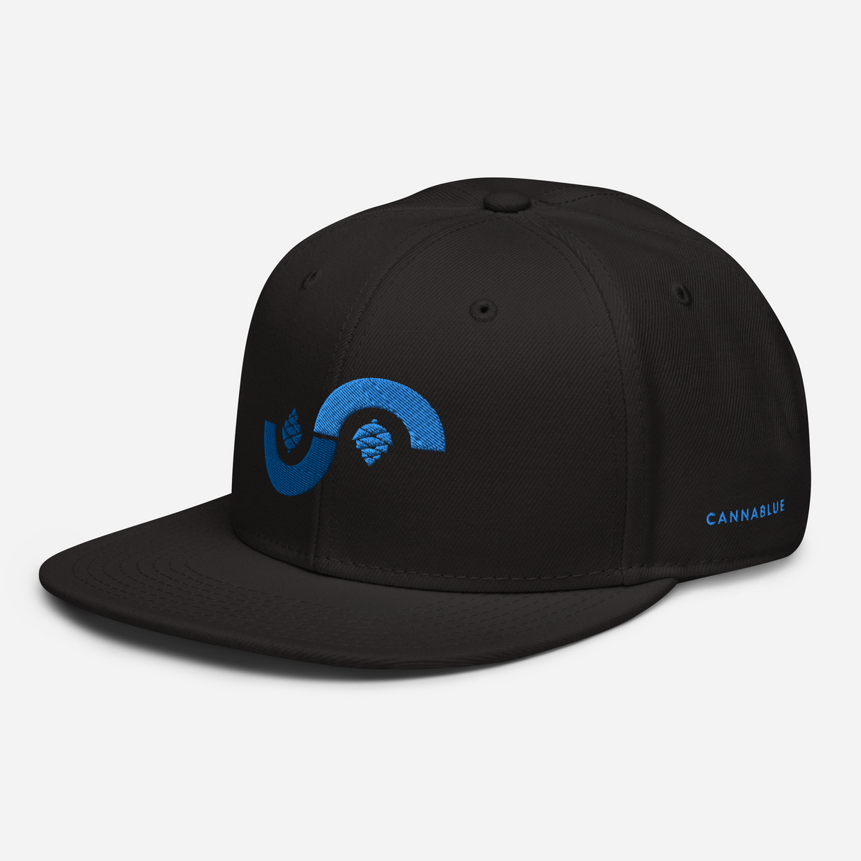 Curve Cone Snapback Hat