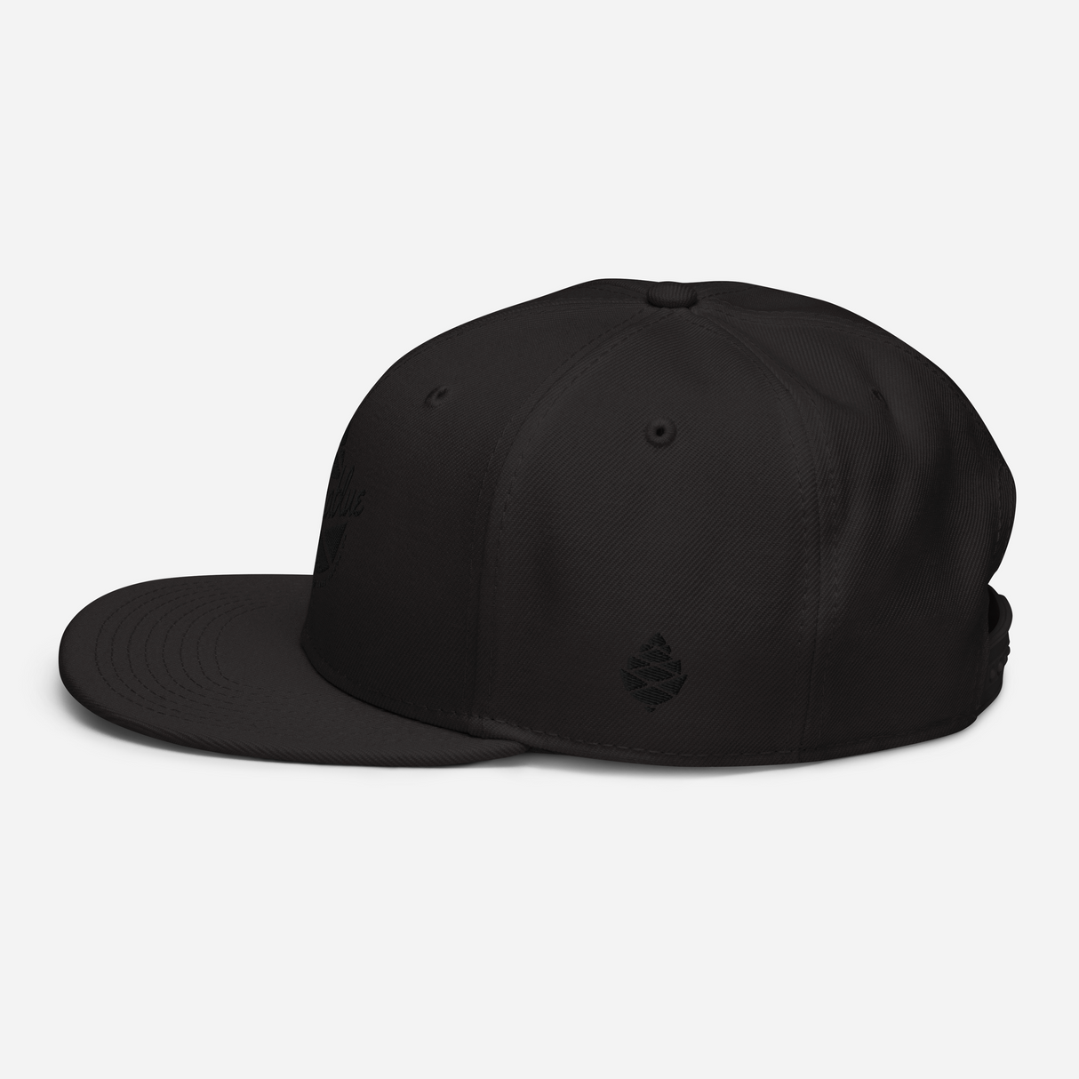 Script Cone Dark Snapback Hat