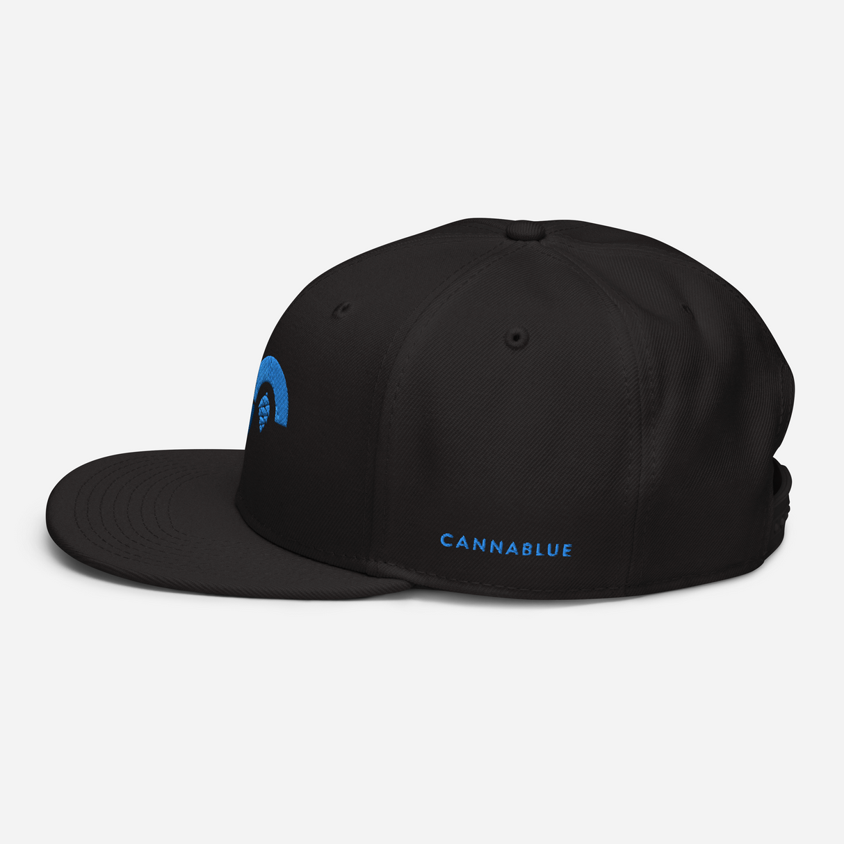 Curve Cone Snapback Hat
