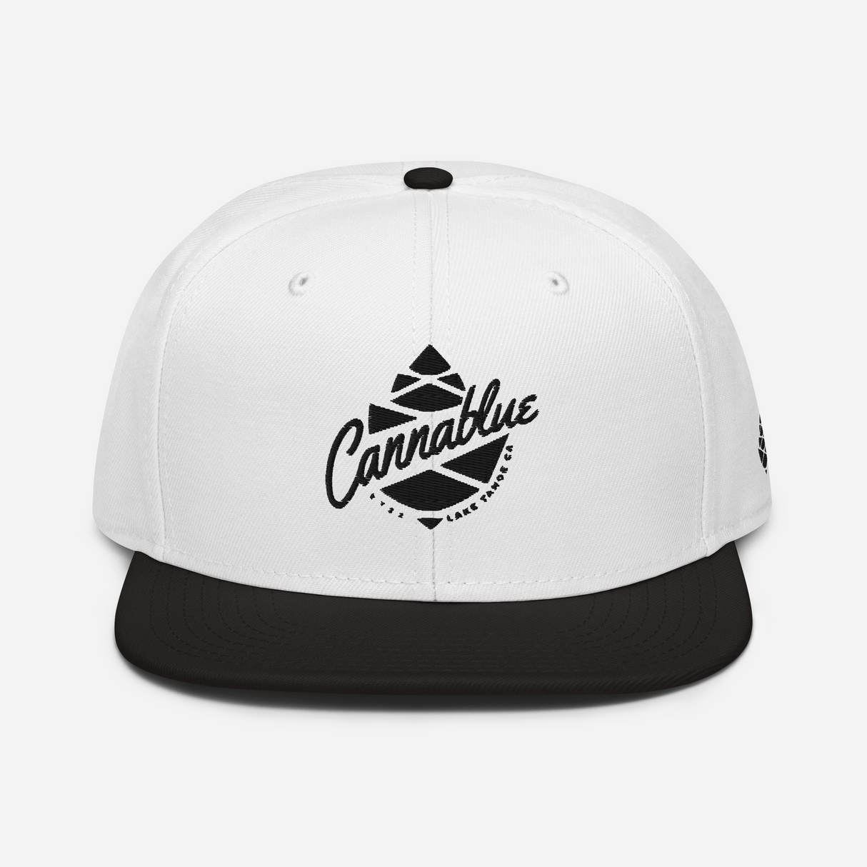 Script Cone Dark Snapback Hat