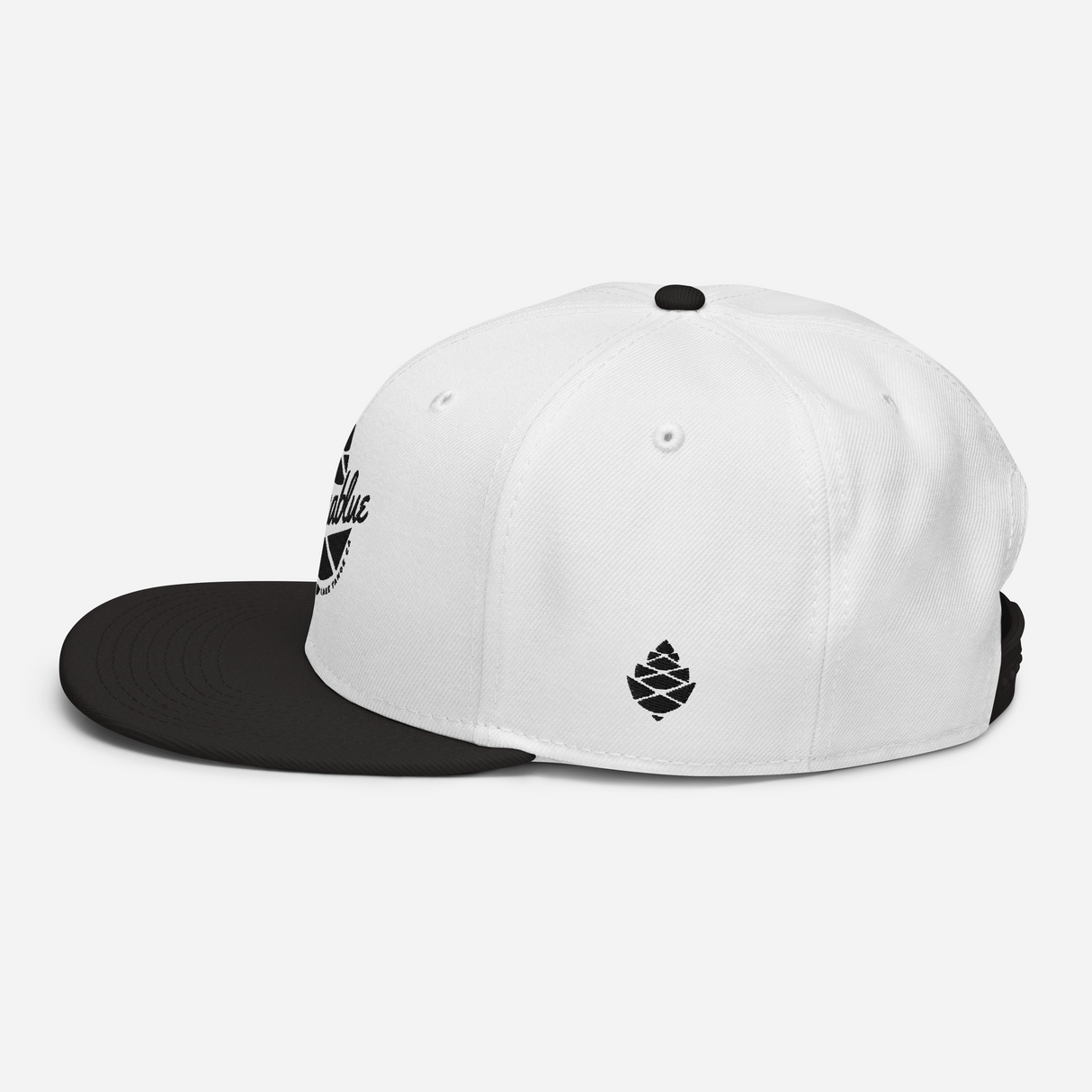 Script Cone Dark Snapback Hat