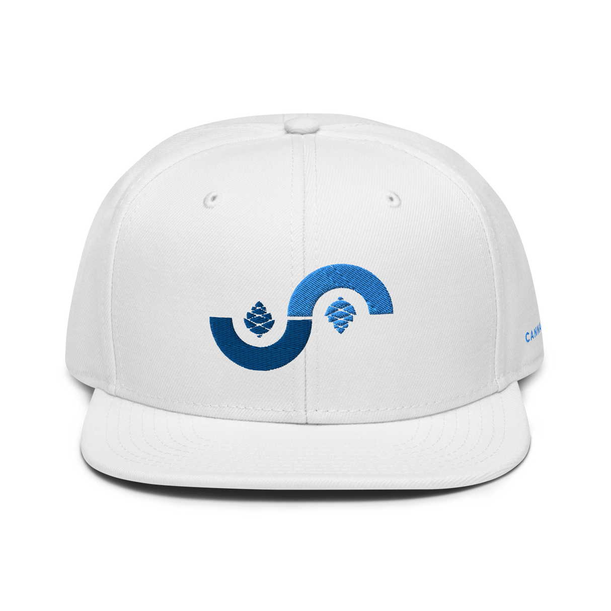 Curve Cone Snapback Hat