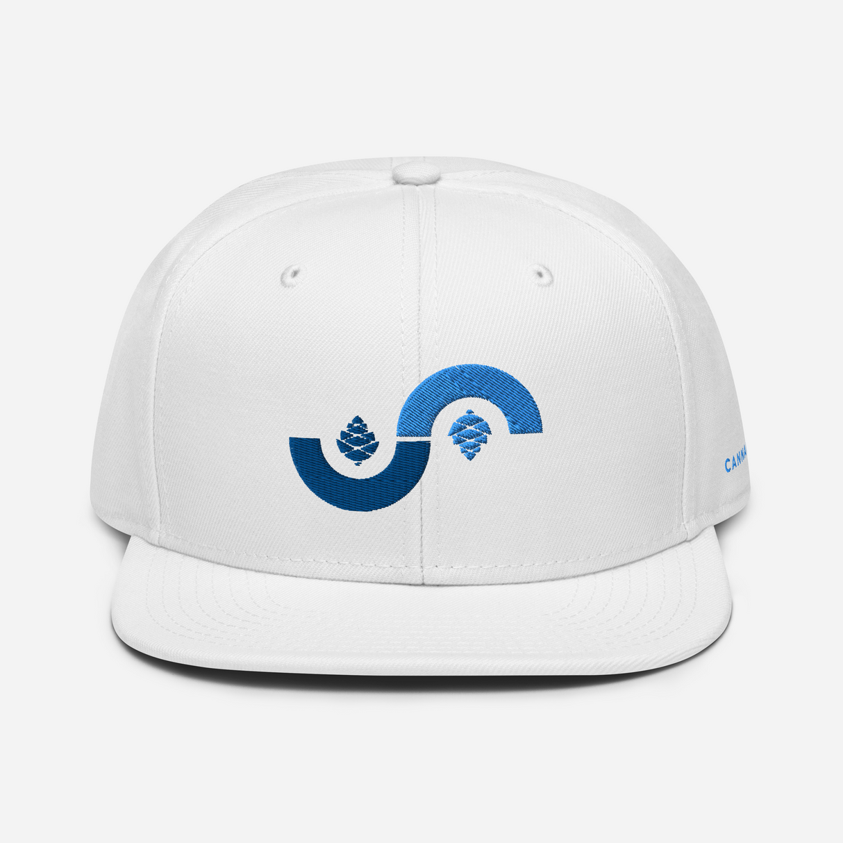 Curve Cone Snapback Hat