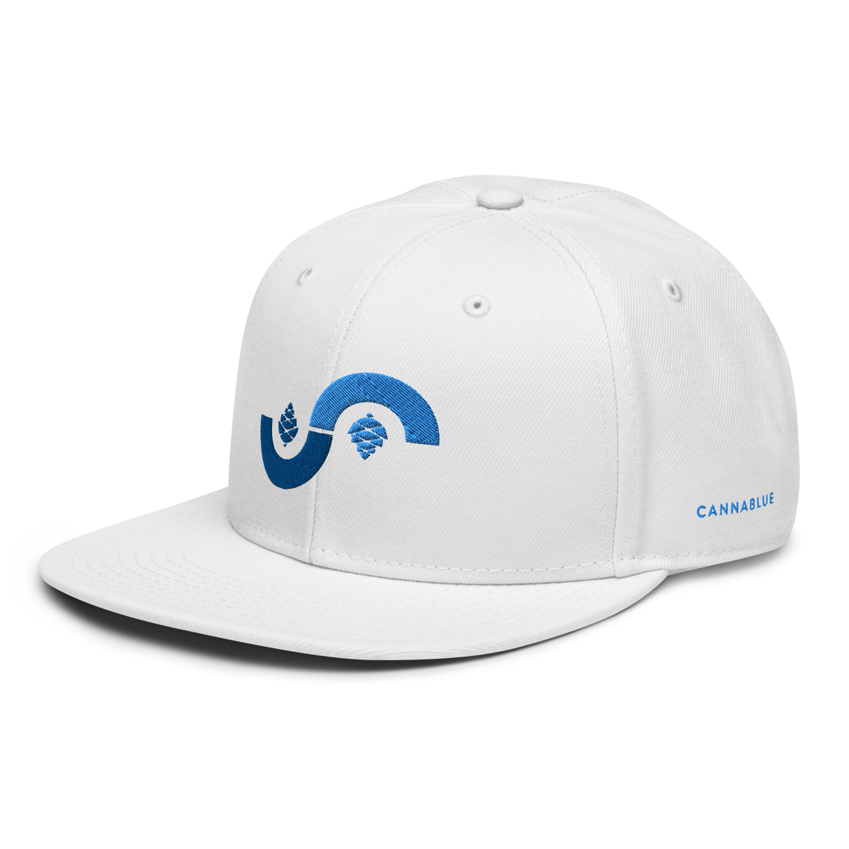 Curve Cone Snapback Hat