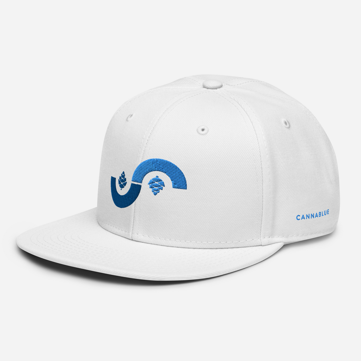 Curve Cone Snapback Hat