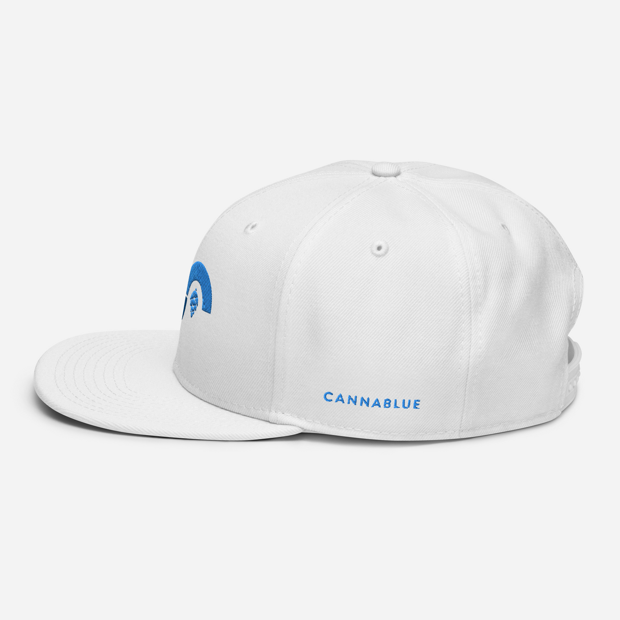 Curve Cone Snapback Hat