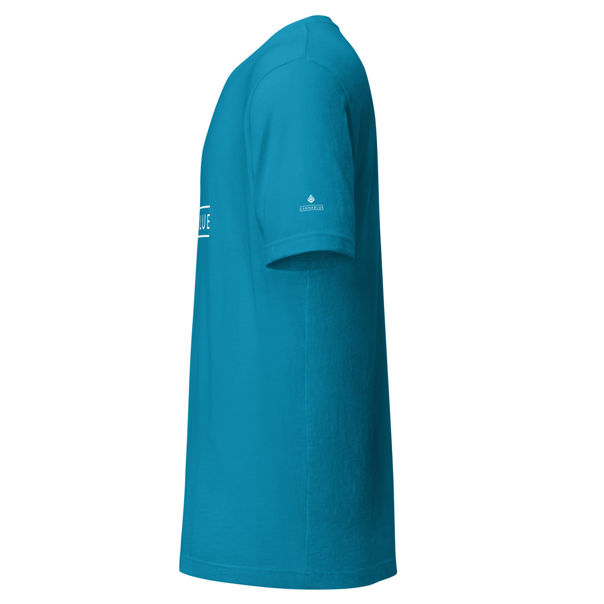 Classic Logo Unisex t-shirt