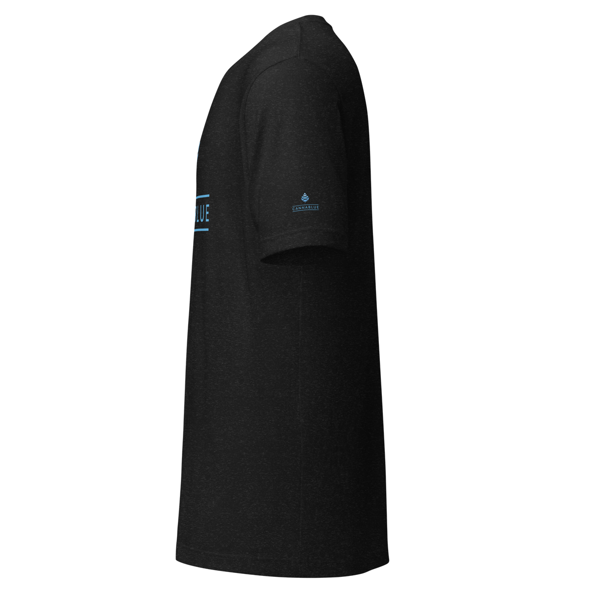 Classic Logo Unisex t-shirt