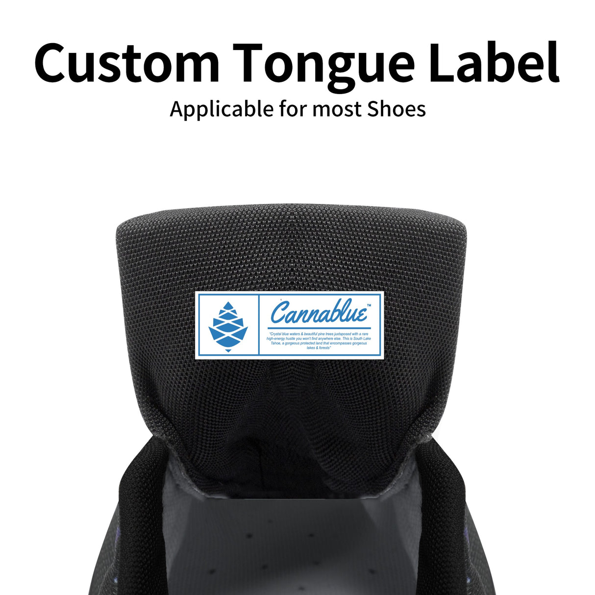 Mens Dunk Stylish Low Top Leather Sneakers