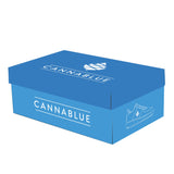 Womens Classic Low Top Canvas Shoes