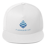 BIG CONE WHITE Flat Bill Cap