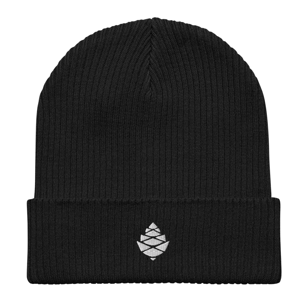 Cone Organic ribbed beanie