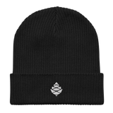 Cone Organic ribbed beanie