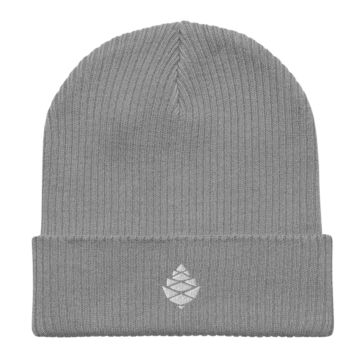 Cone Organic ribbed beanie