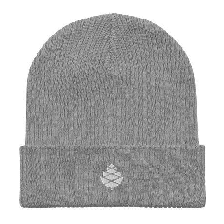 Cone Organic ribbed beanie