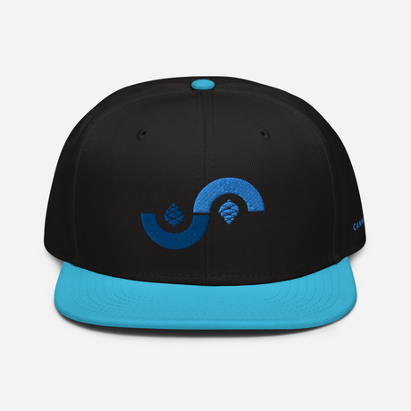 Curve Cone Snapback Hat