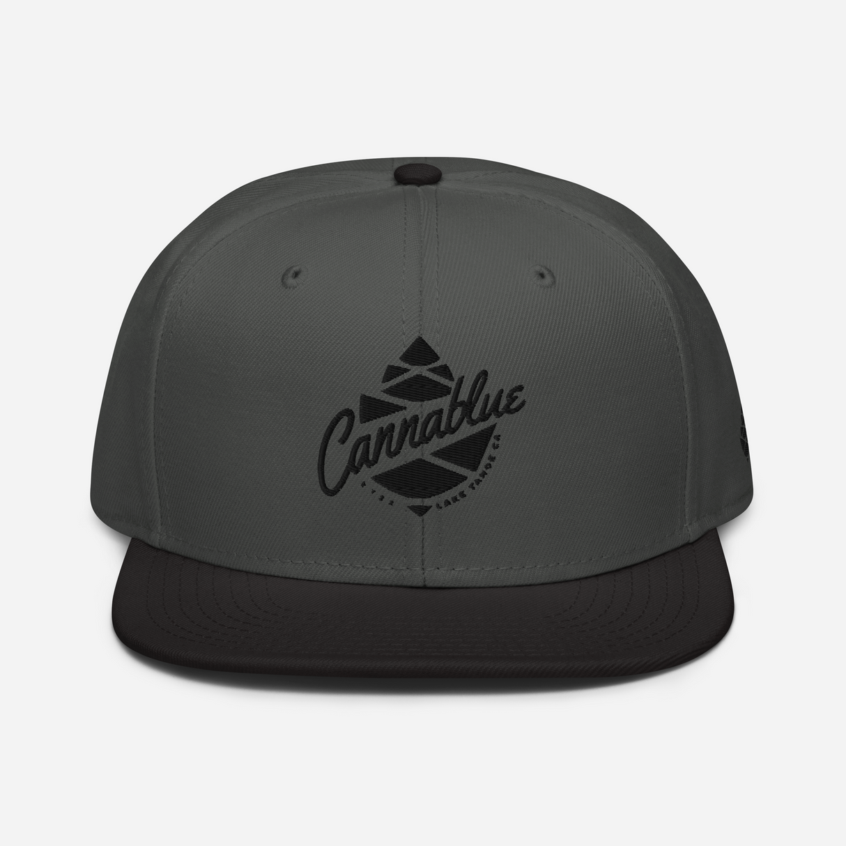 Script Cone Dark Snapback Hat