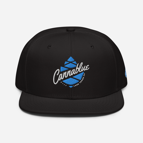 Script Cone Snapback Hat