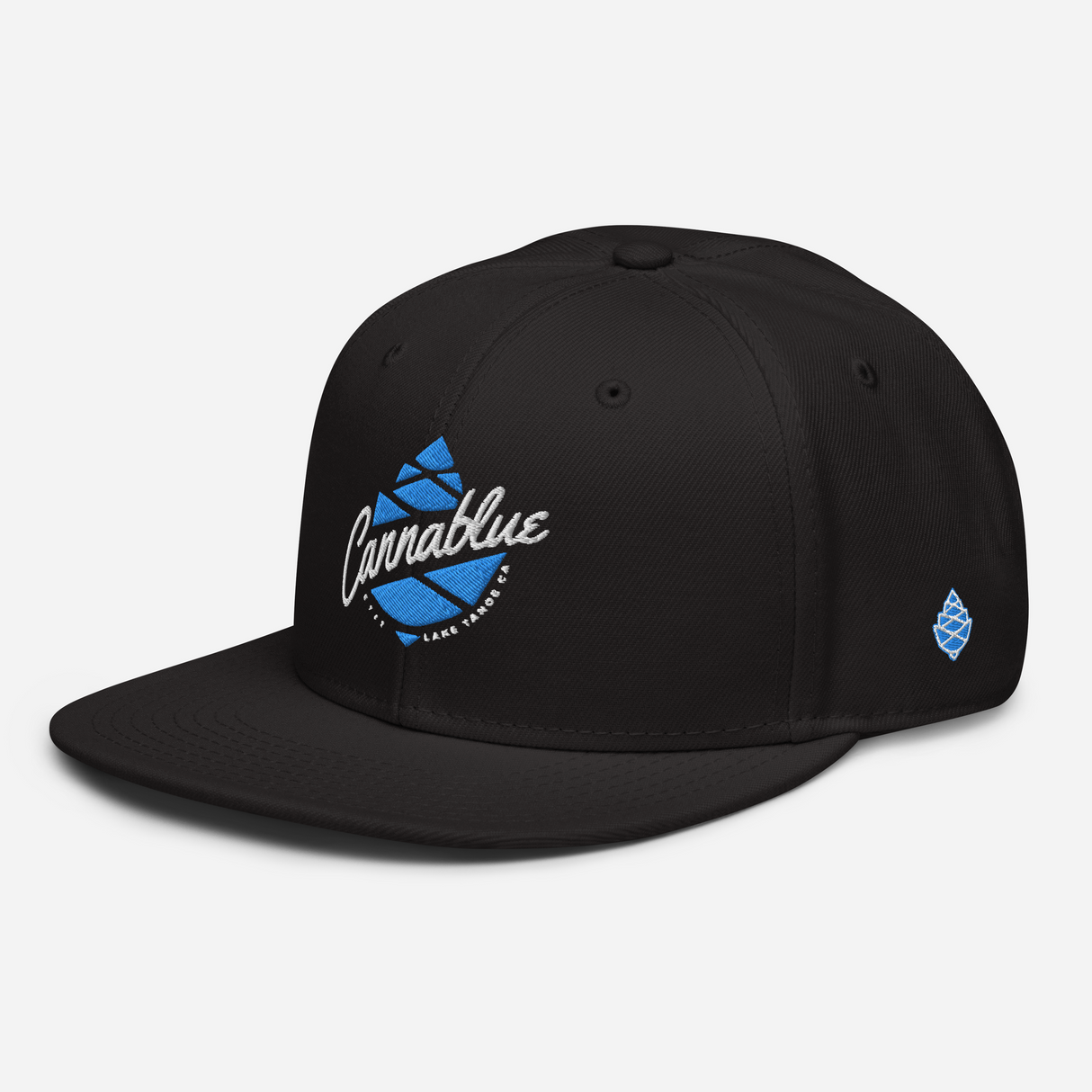 Script Cone Snapback Hat