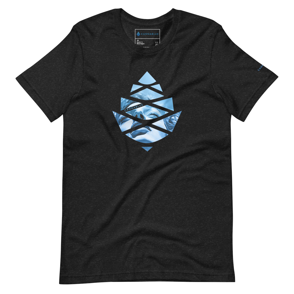 Lady of the Lake Unisex t-shirt