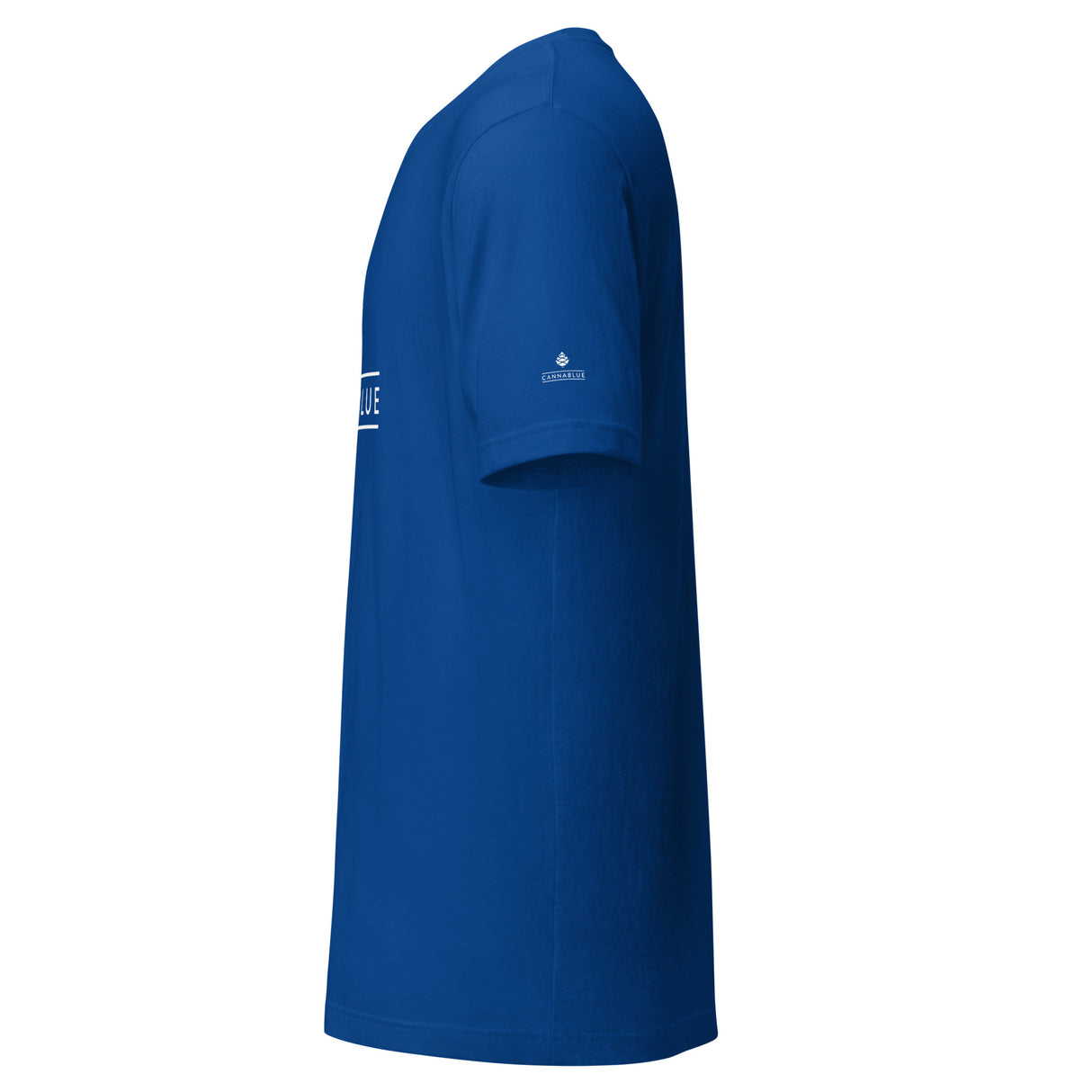 Classic Logo Unisex t-shirt