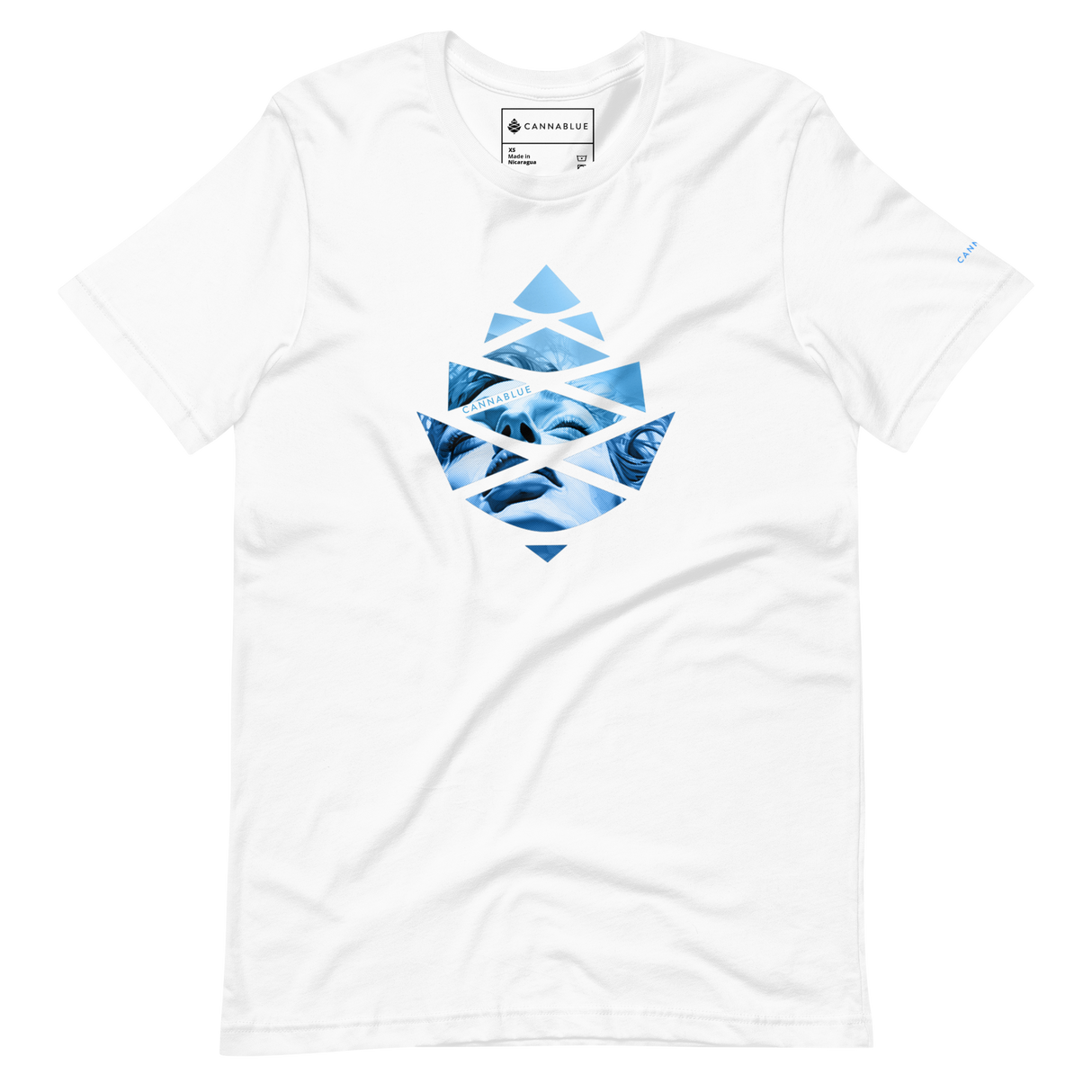 Lady of the Lake Unisex t-shirt